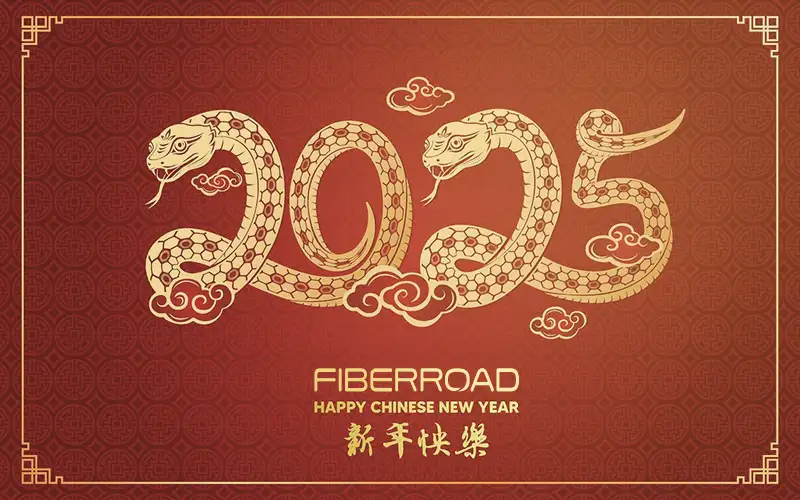 Fiberroad2025新年快乐